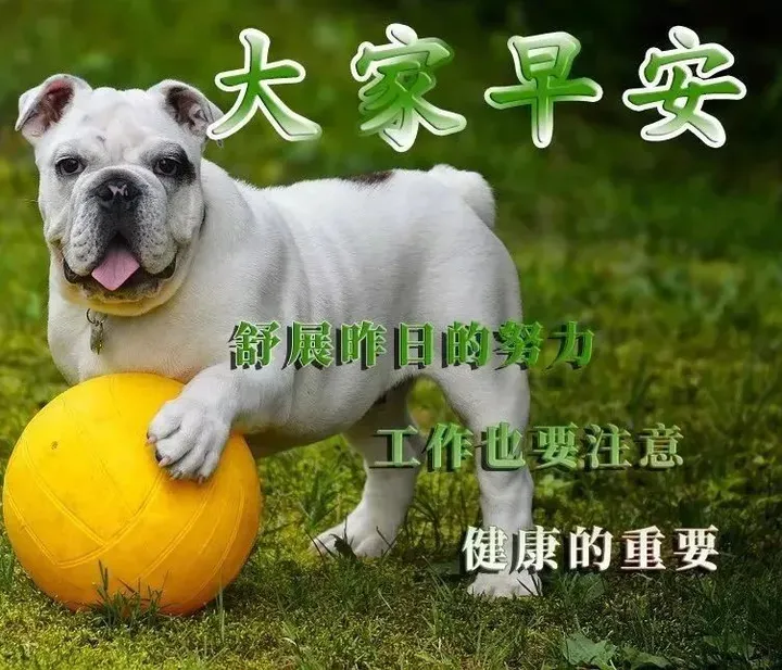8月22日最新版大家早上好表情图片大全，清晨大家早上好问候祝福语动画表情-大家早上好图片动态的2020