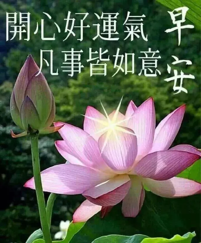 8月22日最新版大家早上好表情图片大全，清晨大家早上好问候祝福语动画表情-大家早上好图片动态的2020