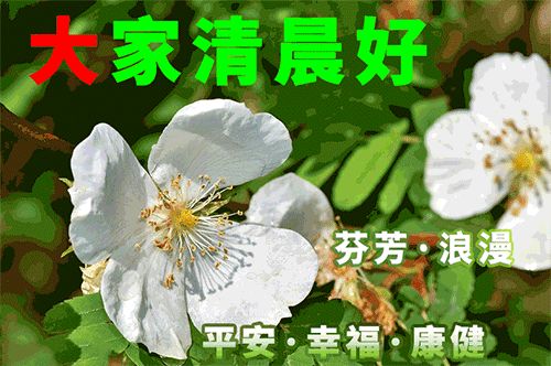 2022最新版清晨问候早上好漂亮表情图片 早上好问候语美丽句子-最新的早上好问候图片带字 祝福