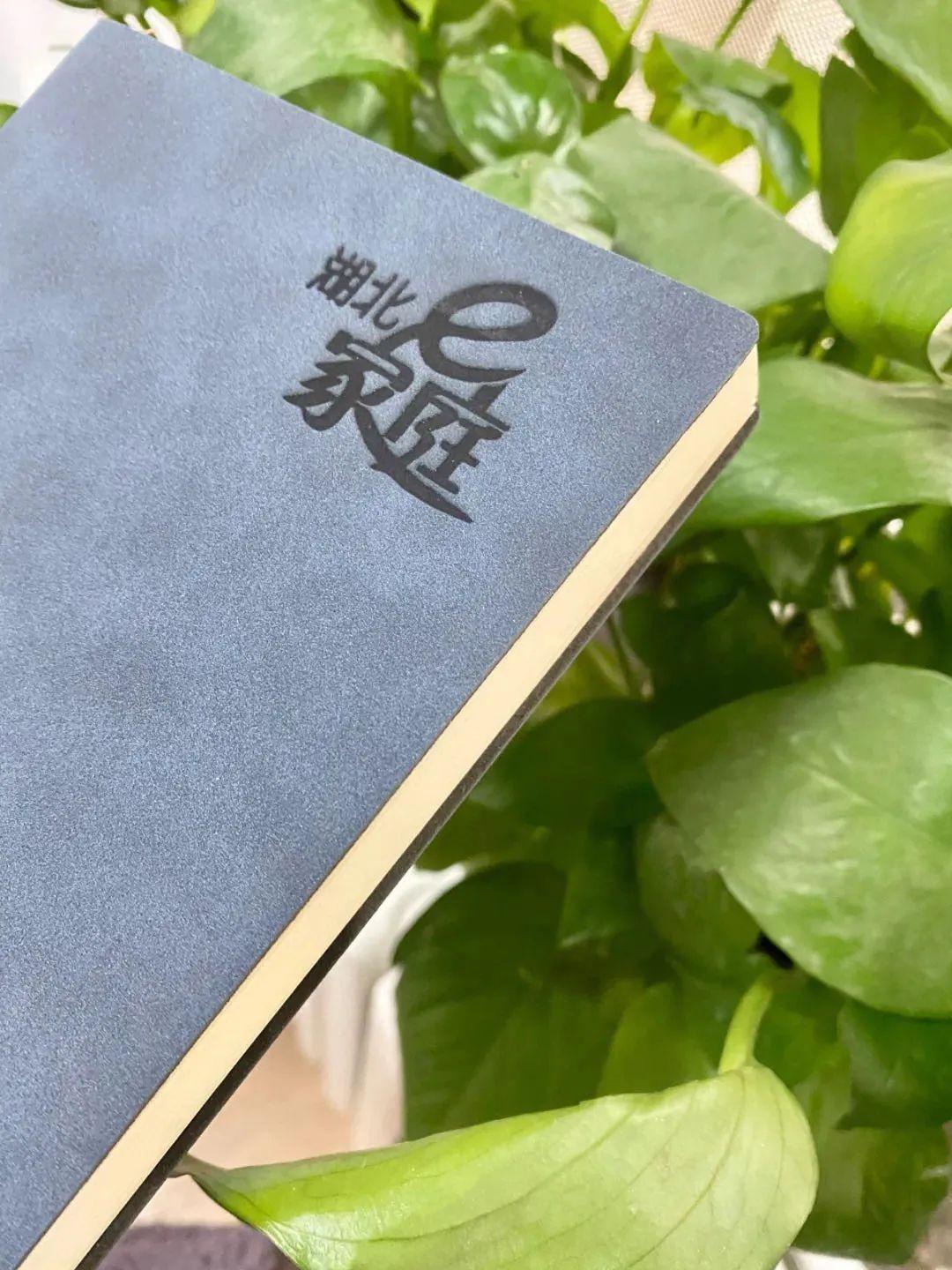 激励孩子的良言妙语，请家长每天都说一说-激励孩子的语言有哪些