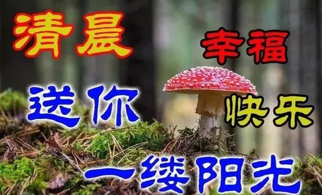 朋友圈最新版清晨早上好问候语美图，12月6日清早早上好问候暖心句子送给你-早上好说说朋友圈说说