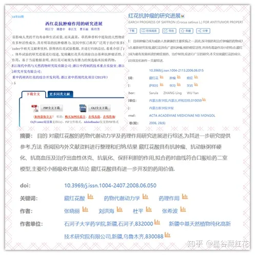 藏红花的功效与作用 吃藏红花有什么好处和禁忌？（藏红花功效危害）
