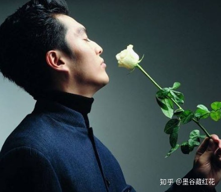 藏红花的功效与作用 吃藏红花有什么好处和禁忌？（藏红花功效危害）