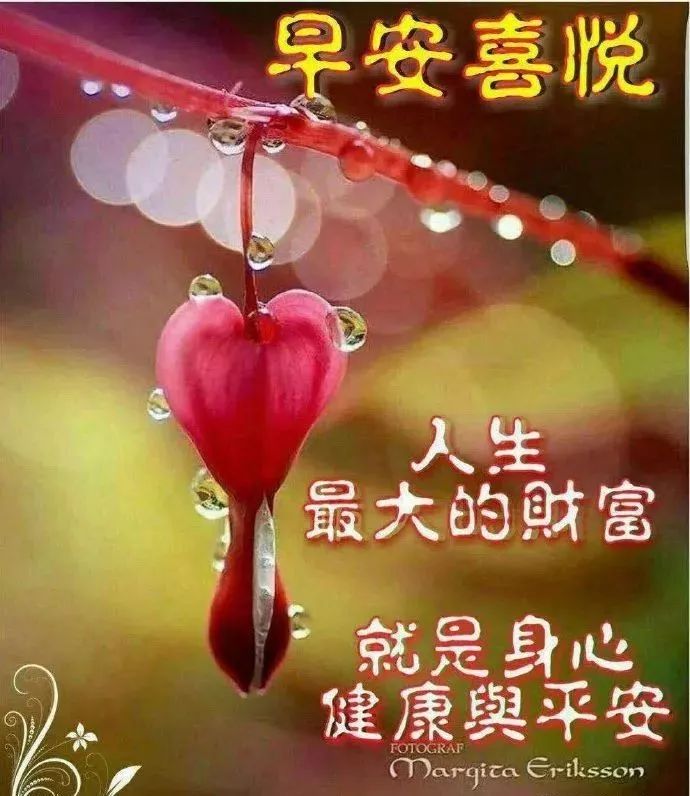 8月26日周一早上好问候语录，阳光暖心的早安问候句子-8月26号早上好