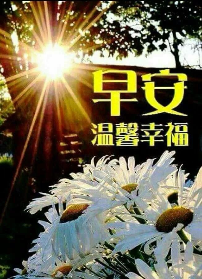 幸福暖心的清晨早上好祝福动态图片 早安问候语正能量慰问朋友句子-最新早上好动态图片大全 祝福 动感