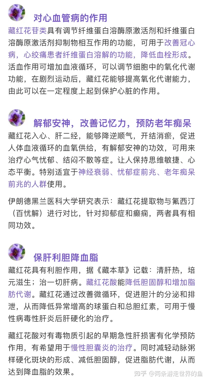 长期喝藏红花有什么效果？（长期喝藏红花有什么影响吗）