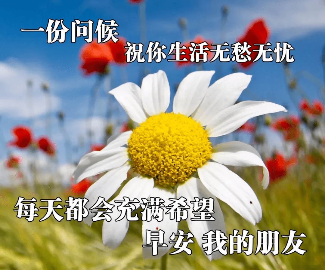 最新版最漂亮的早上好短语句子，问候暖心，早安吉祥！-早上好的问候美句图片 简短