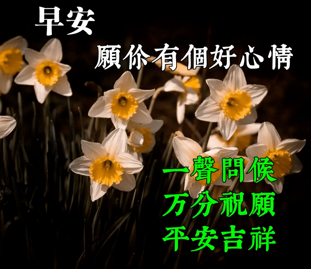 最新版最漂亮的早上好短语句子，问候暖心，早安吉祥！-早上好的问候美句图片 简短