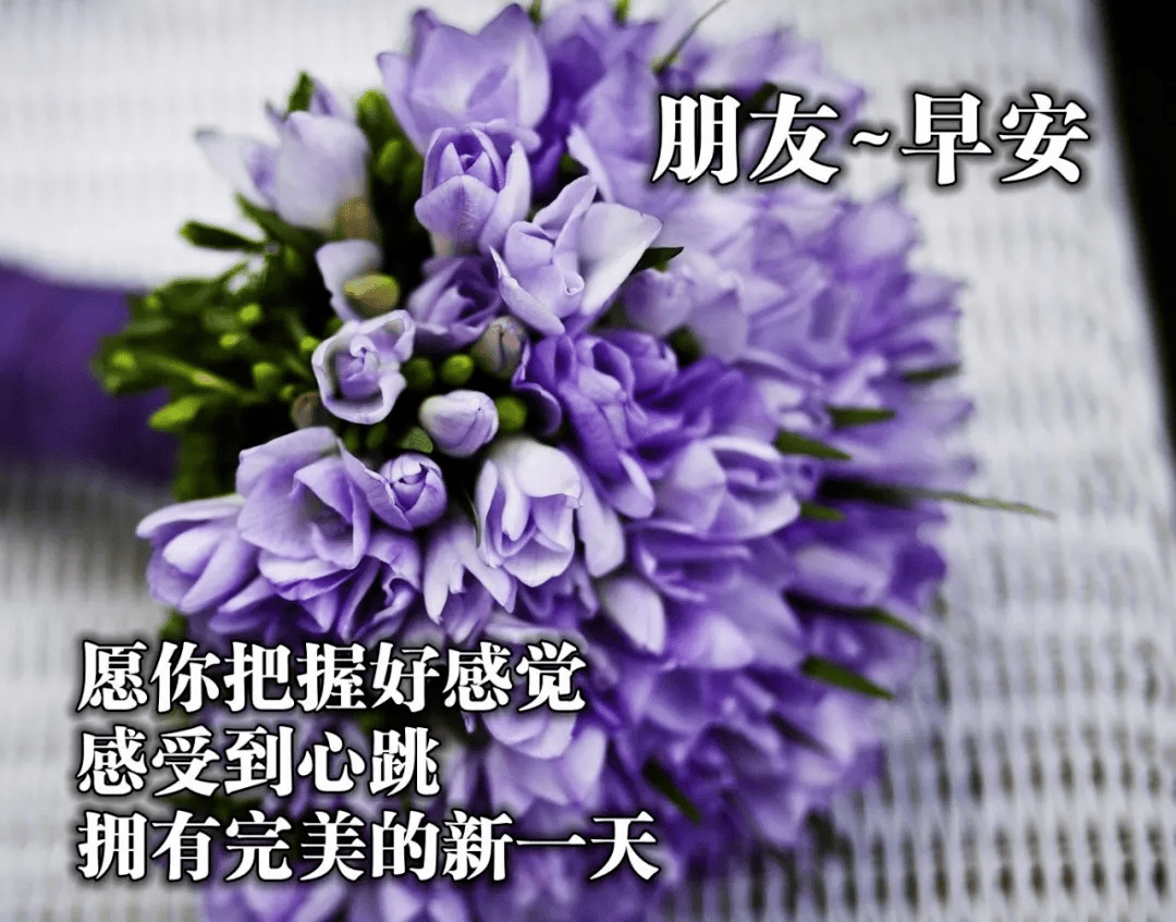 最新版最漂亮的早上好短语句子，问候暖心，早安吉祥！-早上好的问候美句图片 简短