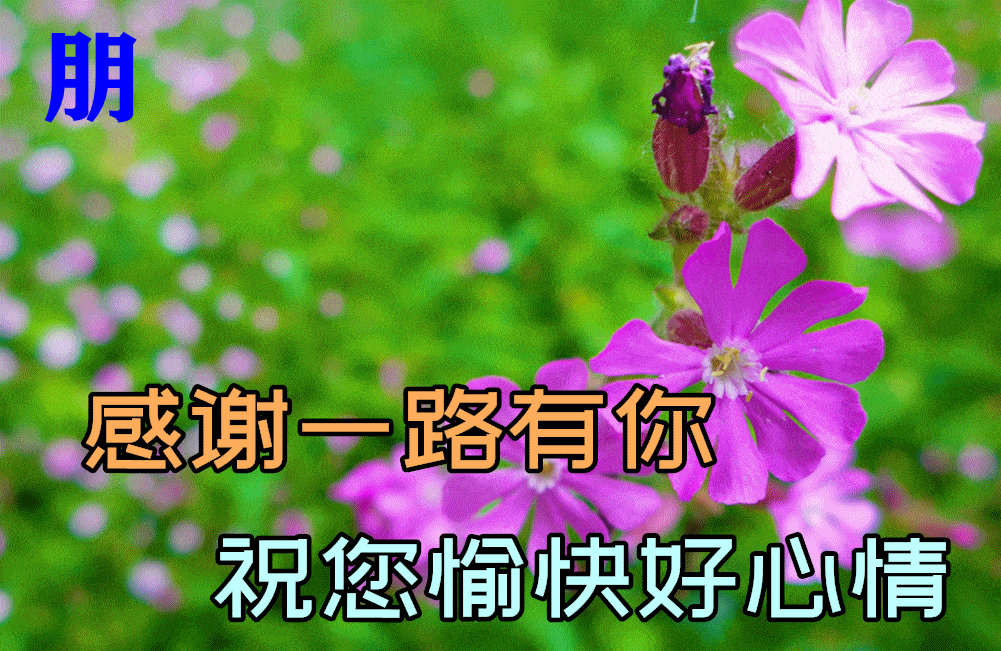 早上好问候语温馨短句，清晨问候早上好的短句子-2021早上好的问候语简短 温馨图片大全