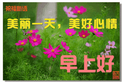 早上好问候语温馨短句，清晨问候早上好的短句子-2021早上好的问候语简短 温馨图片大全