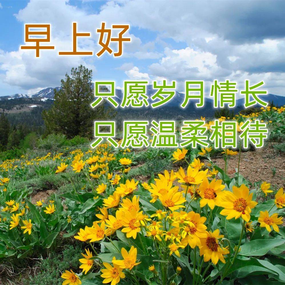 最新版最漂亮的早上好短语句子，早上好祝福早安短句子问候语精选图文-早上好的优美句子 最温暖的早安问候语