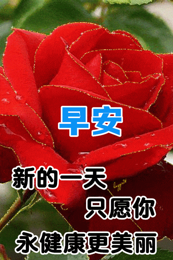 最新版最漂亮的早上好短语句子，早上好祝福早安短句子问候语精选图文-早上好的优美句子 最温暖的早安问候语