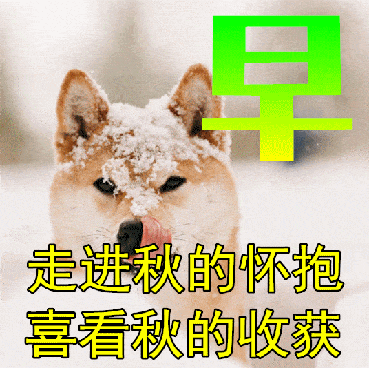 最新版最漂亮的早上好短语句子，早上好祝福早安短句子问候语精选图文-早上好的优美句子 最温暖的早安问候语