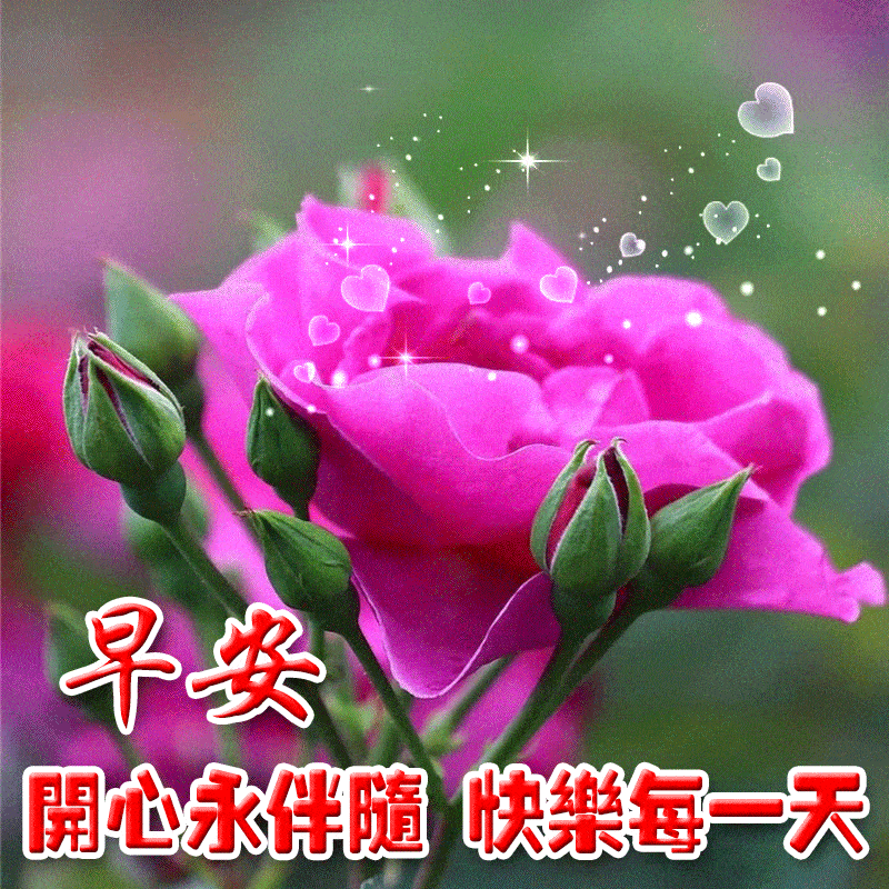 最新版最漂亮的早上好短语句子，早上好祝福早安短句子问候语精选图文-早上好的优美句子 最温暖的早安问候语