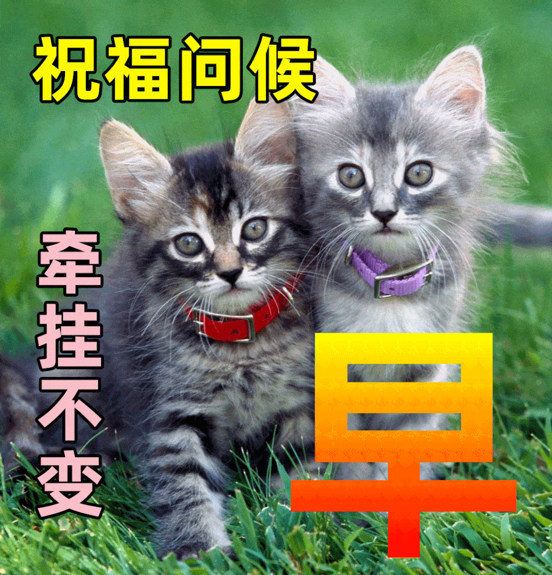 最新版最漂亮的早上好短语句子，早上好祝福早安短句子问候语精选图文-早上好的优美句子 最温暖的早安问候语