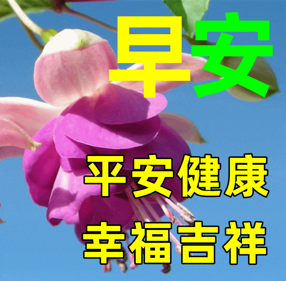 最新版最漂亮的早上好短语句子，早上好祝福早安短句子问候语精选图文-早上好的优美句子 最温暖的早安问候语