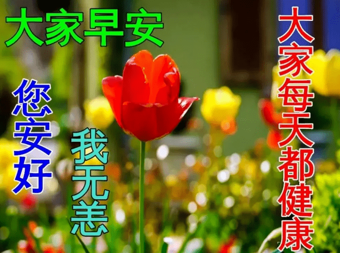 最新版最漂亮的早上好短语句子，祝福问候，开心幸福-早上好祝福的句子唯美简短