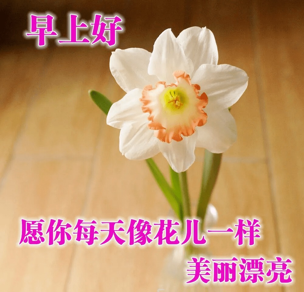 最新版最漂亮的早上好短语句子，祝福问候，开心幸福-早上好祝福的句子唯美简短