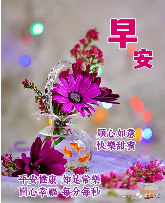 最新版最漂亮的早上好短语句子，祝福问候，开心幸福-早上好祝福的句子唯美简短