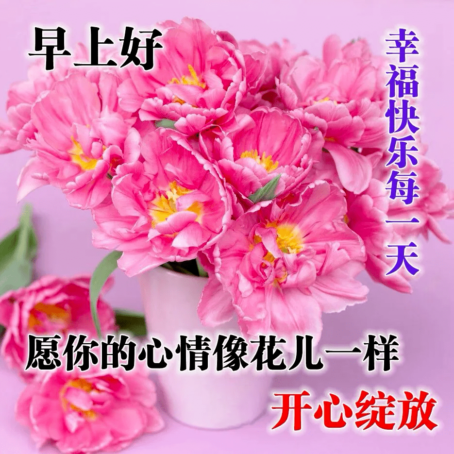 最新版最漂亮的早上好短语句子，祝福问候，开心幸福-早上好祝福的句子唯美简短