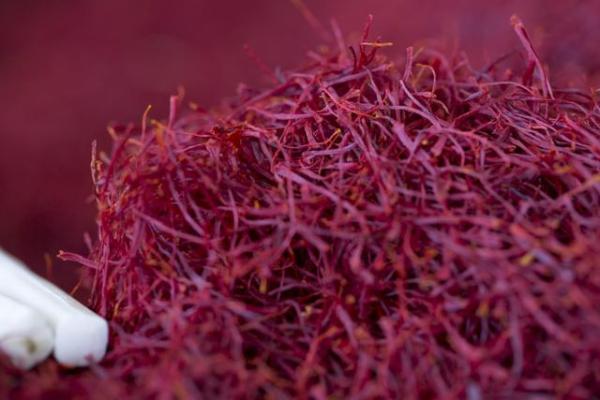 红花和藏红花，名字相似为何价格相差几百倍（藏红花和红花有啥区别）
