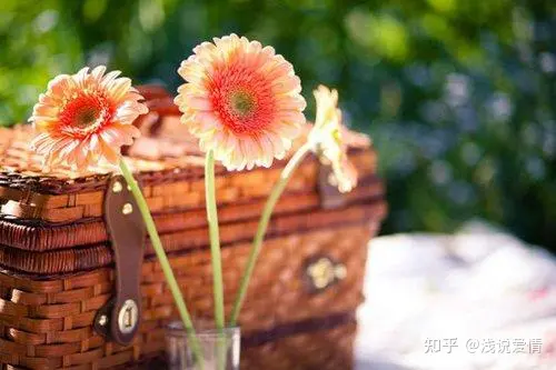 早上简短暖心的问候语，你最喜欢哪句？-早上最简短最好的问候语