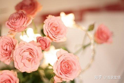 早上简短暖心的问候语，你最喜欢哪句？-早上最简短最好的问候语