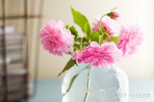 早上简短暖心的问候语，你最喜欢哪句？-早上最简短最好的问候语