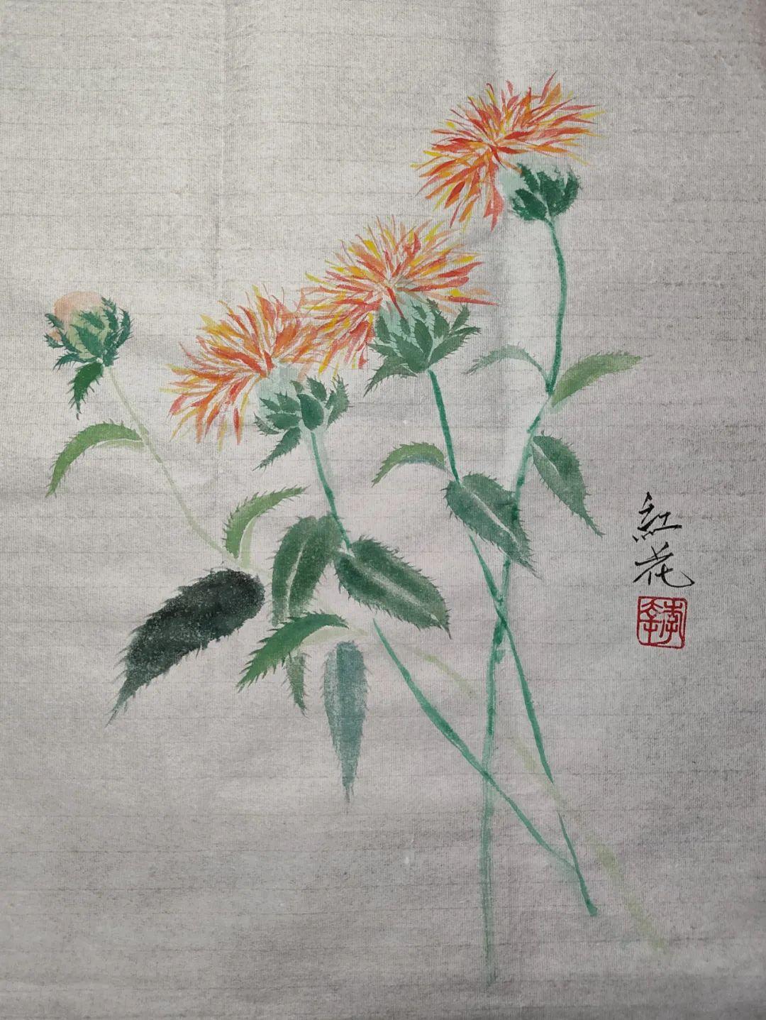 红花和藏红花，一字之差，功效却不同（一般的红花和藏红花的功效有什么区别）