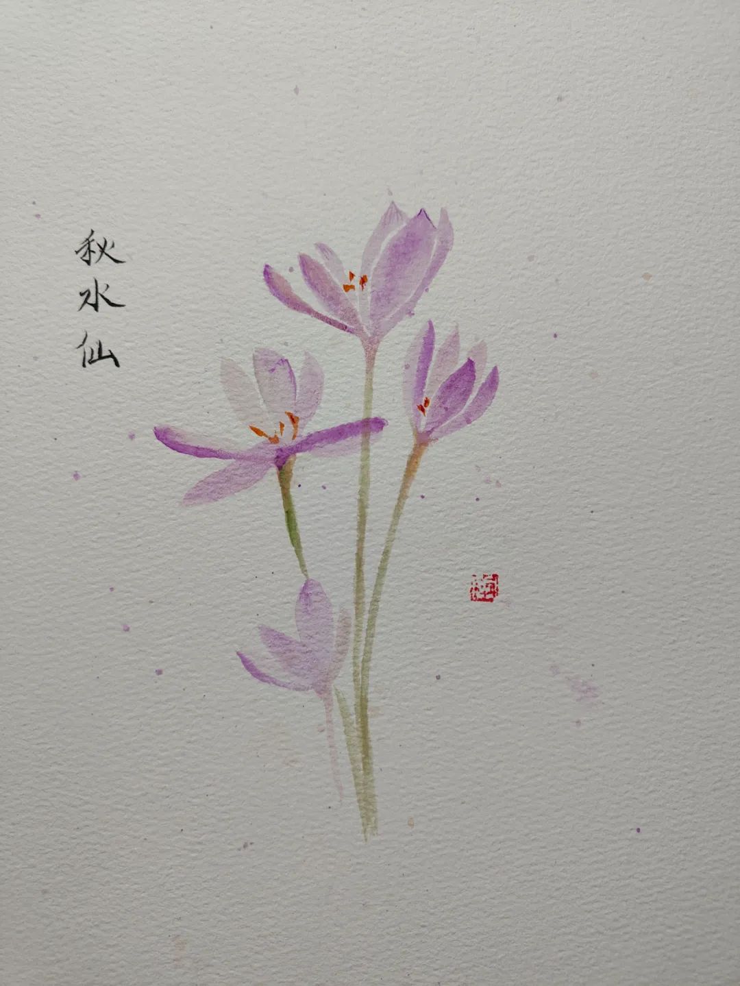 红花和藏红花，一字之差，功效却不同（一般的红花和藏红花的功效有什么区别）