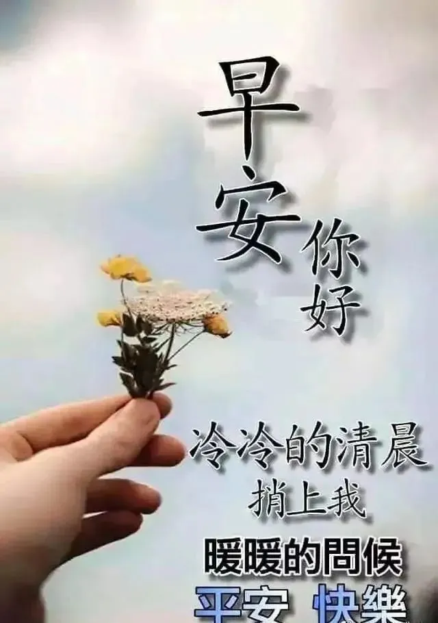 早晨好问候语录暖心句子送给你，清晨慰问朋友的早上好祝福句子-早晨,问候朋友们的经典语言