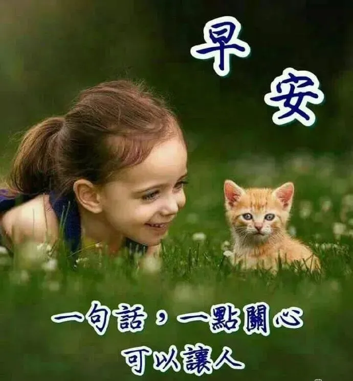 早晨好问候语录暖心句子送给你，清晨慰问朋友的早上好祝福句子-早晨,问候朋友们的经典语言