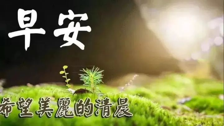 早晨好问候语录暖心句子送给你，清晨慰问朋友的早上好祝福句子-早晨,问候朋友们的经典语言