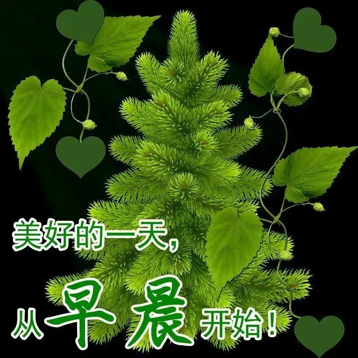 早晨好问候语录暖心句子送给你，清晨慰问朋友的早上好祝福句子-早晨,问候朋友们的经典语言