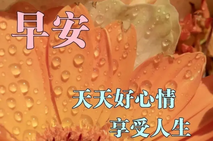 早晨好问候语录暖心句子送给你，清晨慰问朋友的早上好祝福句子-早晨,问候朋友们的经典语言