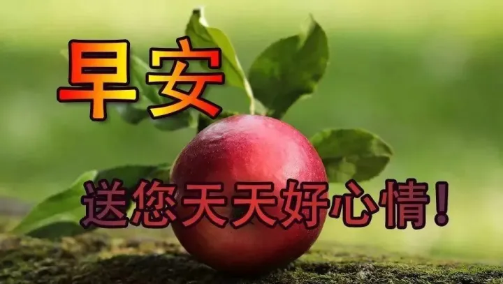 早晨好问候语录暖心句子送给你，清晨慰问朋友的早上好祝福句子-早晨,问候朋友们的经典语言