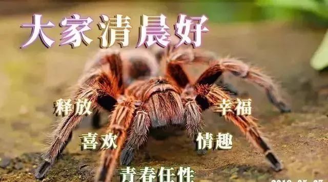 早晨好问候语录暖心句子送给你，清晨慰问朋友的早上好祝福句子-早晨,问候朋友们的经典语言