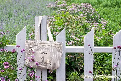 晨语早安问语暖心-晨语早安心语