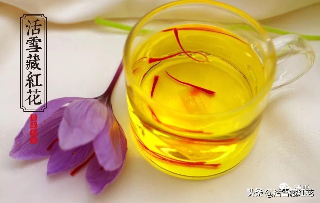 吃藏红花的人越来越多，原来竟然是因为这些原因（经常吃藏红花有什么好处）