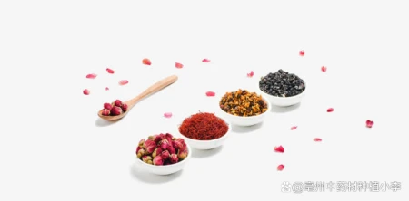 正宗的藏红花要多少人民币一斤？（藏红花对女性妇科有什么帮助）