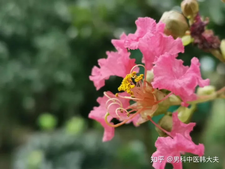 男人吃什么可以补精补肾？（男人吃什么能补精）