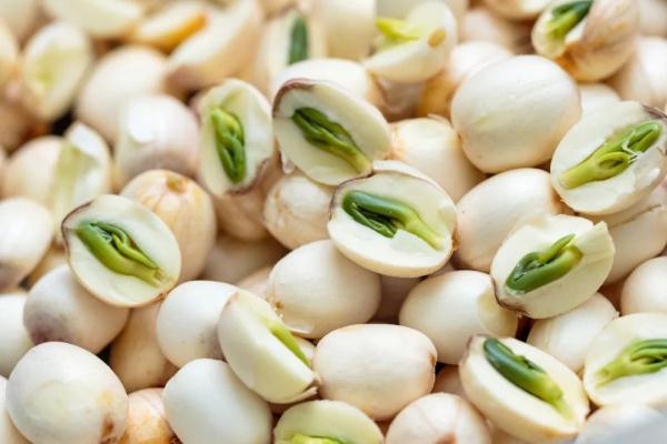 盛夏时节宁可不吃肉，也要吃这“水中灵芝”！生吃清热、熟吃养胃-水灵芝的作用与功效图片