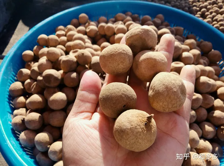 男人吃什么可以增强体力？可以补肾？（男性吃什么能增强体质）