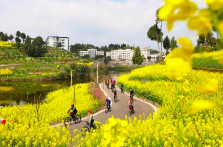 今日节气惊蛰：春雷响，万物长！-惊蛰诗歌春雷萌动