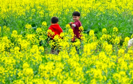 今日节气惊蛰：春雷响，万物长！-惊蛰诗歌春雷萌动
