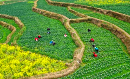 今日节气惊蛰：春雷响，万物长！-惊蛰诗歌春雷萌动