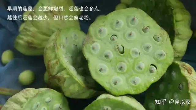 吃新鲜莲子，不要丢弃它，活血化瘀，女人最适合-吃新鲜莲子的好处与功效