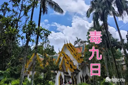 “九毒日”到了，“3菜不上桌，福气不进门”，3菜指啥？咋吃受益（传说中的九毒日是什么意思）