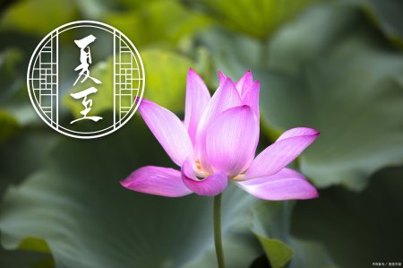 今年端午不一般，夏至和端午相逢，多年难得一遇，有啥说法和讲究-今年端午是什么时候啊